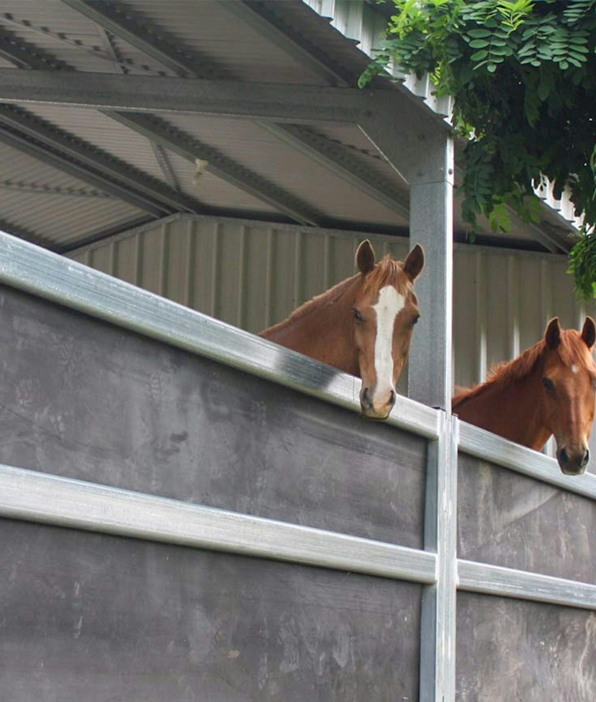 Colorbond Stable Shed Catalogue & Prices Australia - 100% Colorbond® Steel | Wide Span Sheds