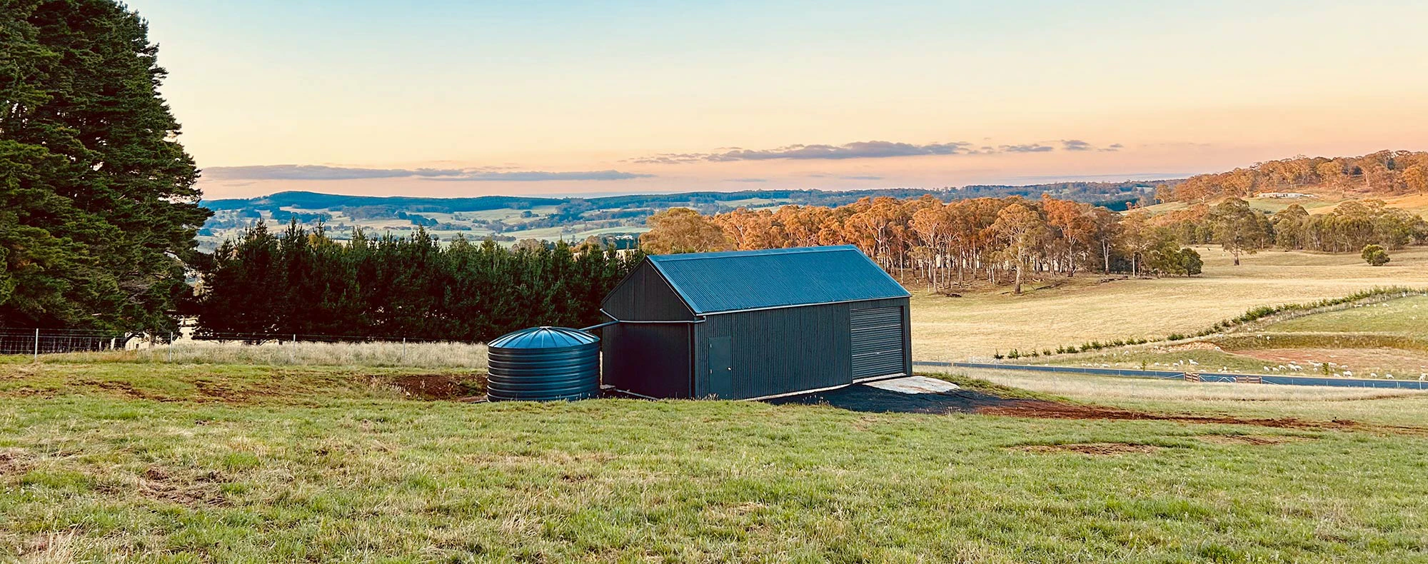 Storage Shed with a View