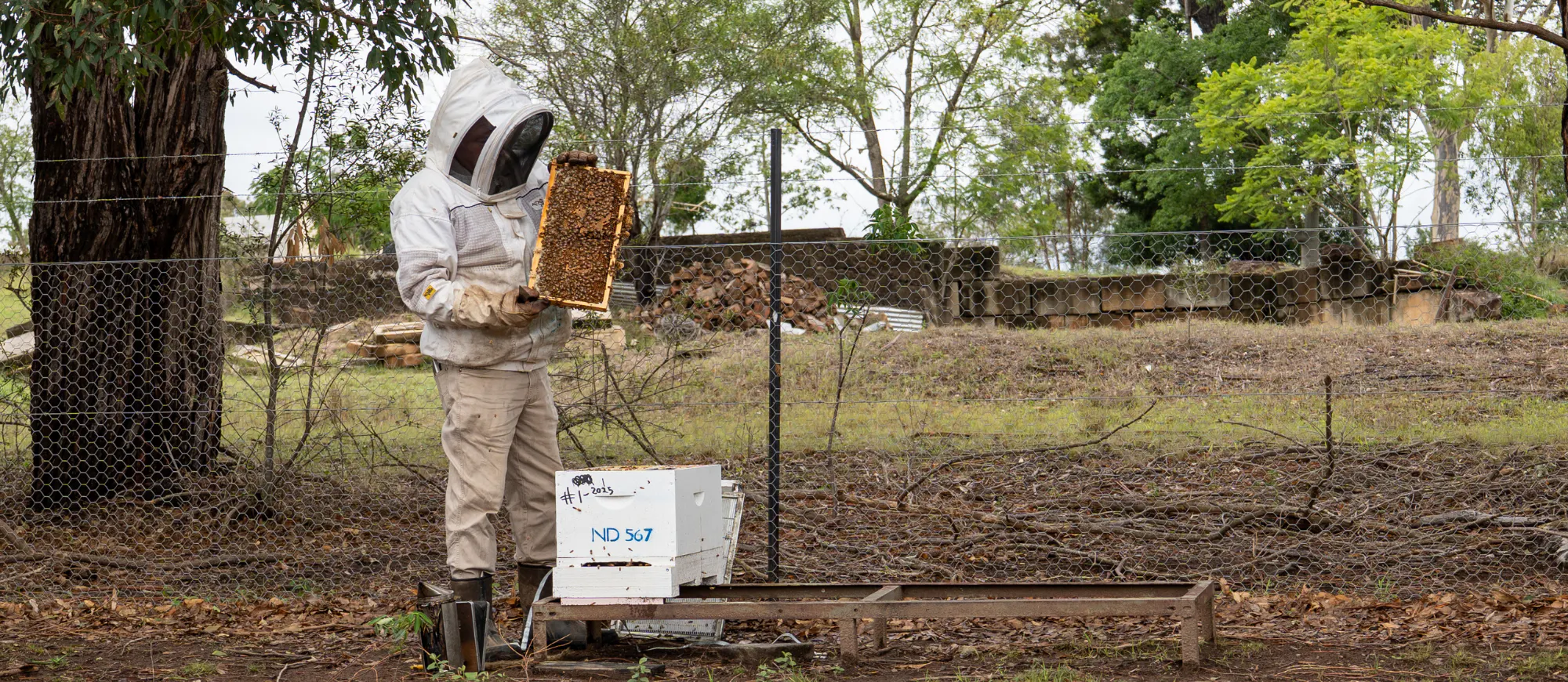 Inspiration-Gallery The-Hive the-hive-project-wide-span-sheds-10