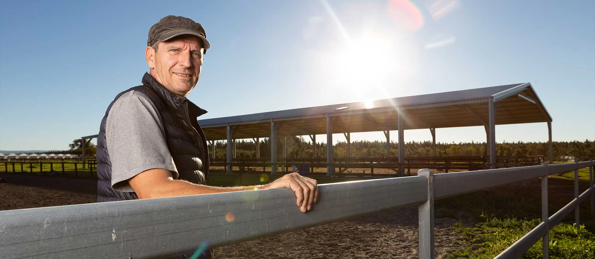 Equine Arena: The Perfect Solution for All-Weather Riding