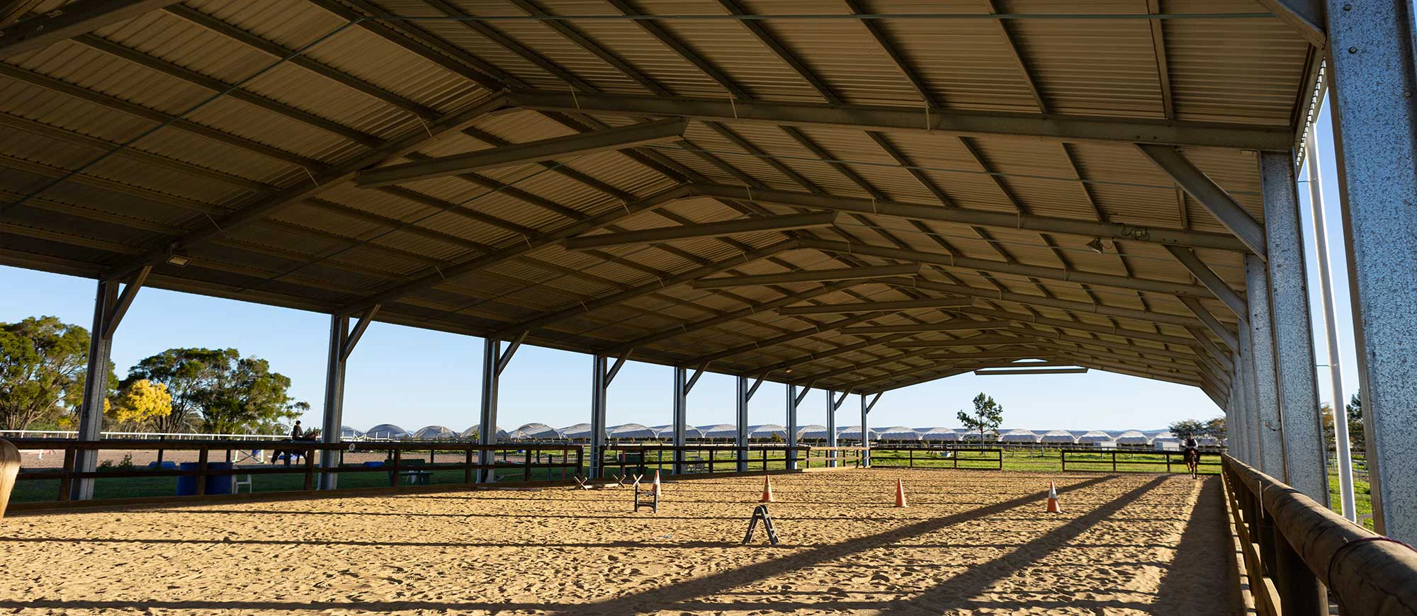 Equine Arena: The Perfect Solution for All-Weather Riding