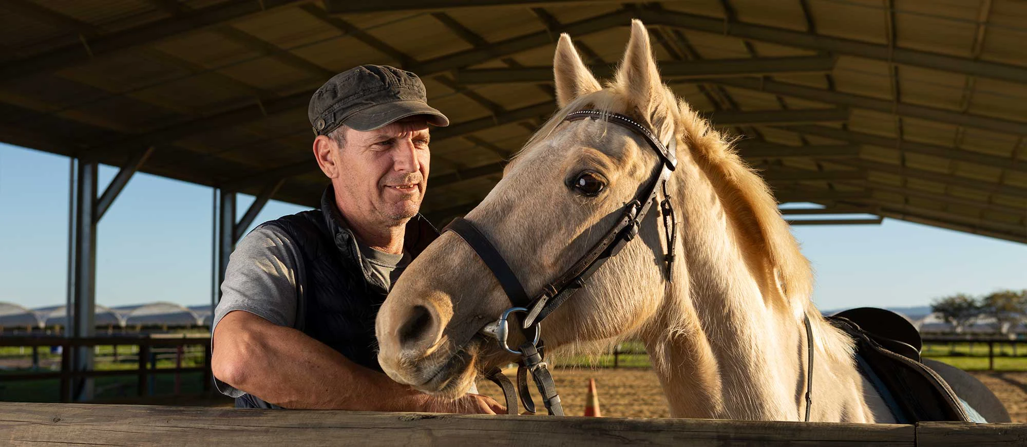 Equine Arena: The Perfect Solution for All-Weather Riding