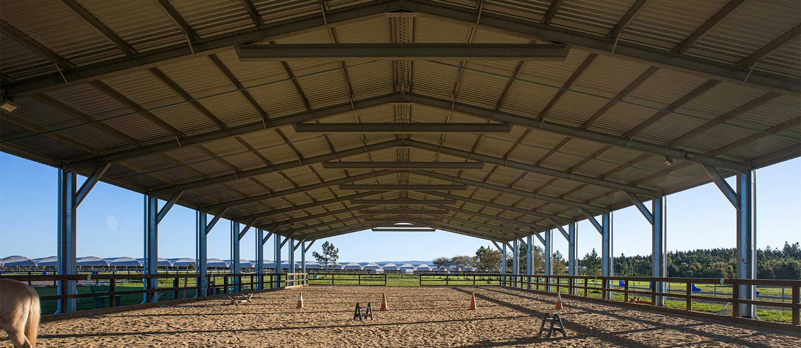 Equine Indoor Arena: The Perfect Solution for All-Weather Riding
